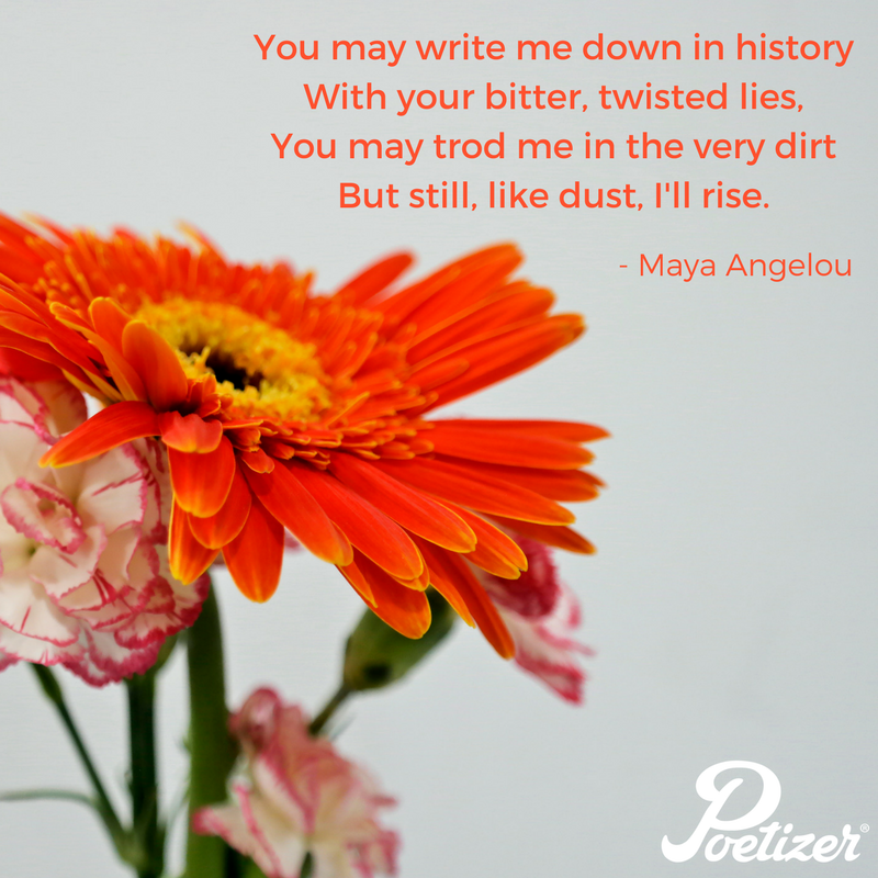 Poetizer tweet media