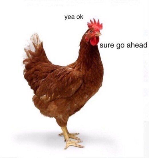 CauseWereGuys's tweet photo. Never gets old https://t.co/aCgId3fzmW