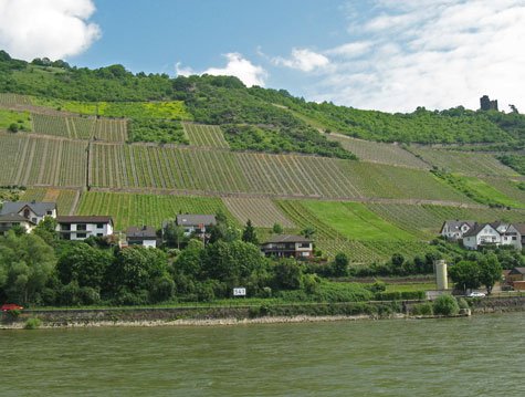 Altaviser's tweet image. The 2017 Guide to the Republic of Germany is available at travel-europe.ca

#Germany2017 #GermanyGuide #Germany