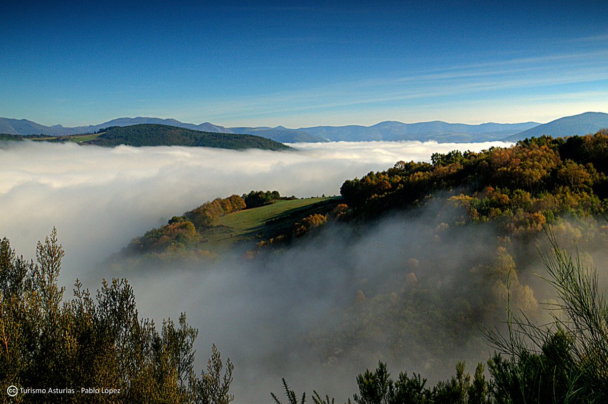 TurismoAsturias's tweet photo. Descubre qué ver en San Martín de #Oscos, otra de las joyas del occidente asturiano https://t.co/njbfjcY6i7 https://t.co/gCp2IeGLMu