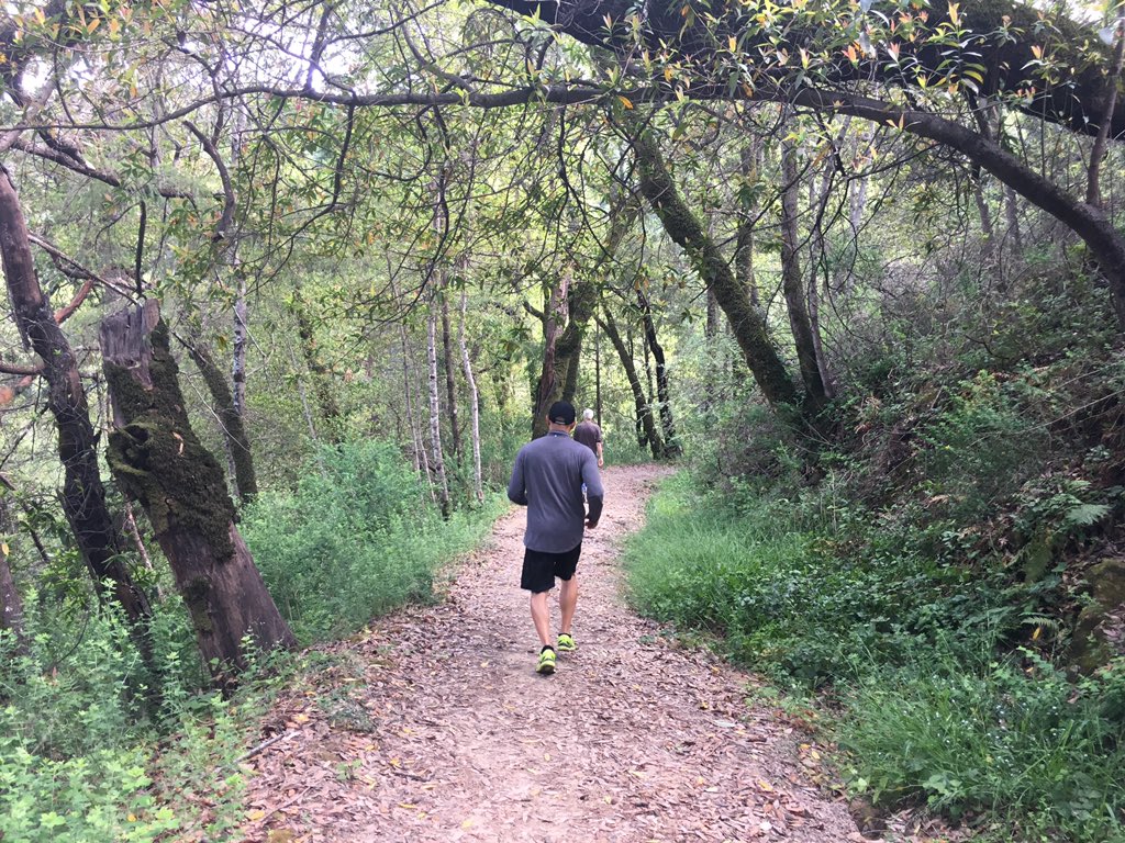 seedcode's tweet image. Heard #pauseonerror called #FileMaker summer camp.