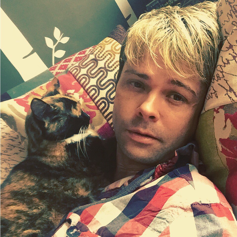 bioniccats's tweet photo. #catrestingπΎπ±βΊ #cats https://t.co/XNy6VnELmK