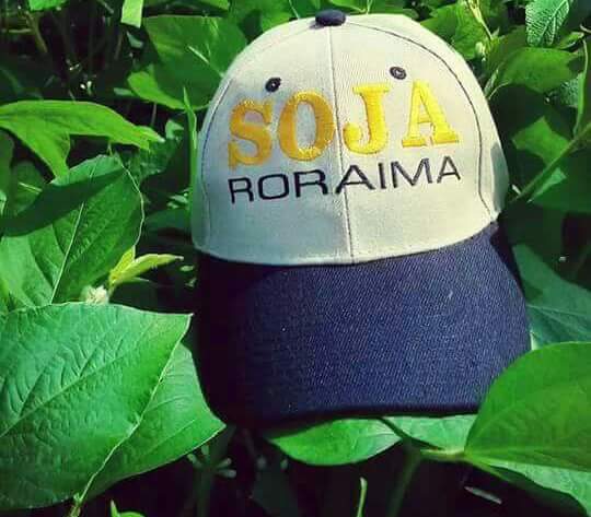 aluizionassi's tweet image. estudio.folha.uol.com.br/foco-nas-cidad…

Parabéns à @Teresa_Surita e o Secretário Marlon Buss!!

#Soja_Roraima 
#Roraima_HemisférioNorte 
#Roraima_SemIgual