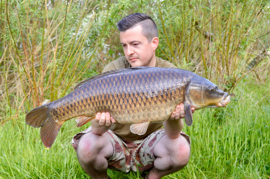 Michael Trench (@mickytrench) on Twitter photo 