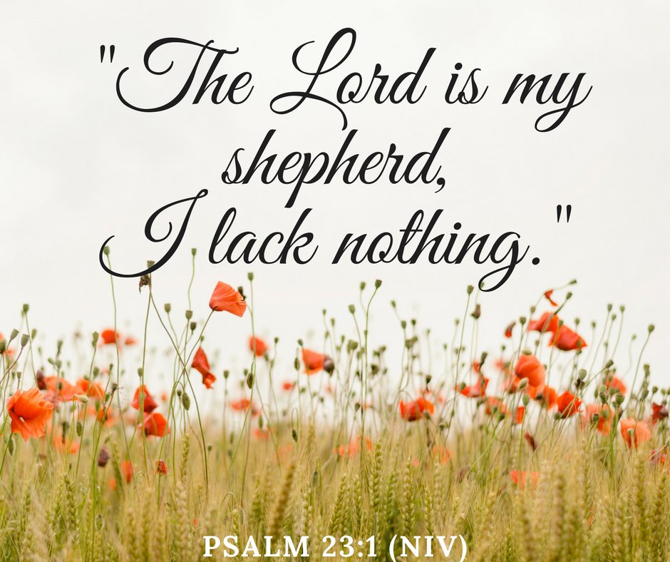 AliciaMSmith7's tweet photo. Such a good reminder! :) Happy Sunday, everyone!
#HeIsAllWeNeed #GodIsGood #PriorityNumberOne https://t.co/2uHgvqPfeO