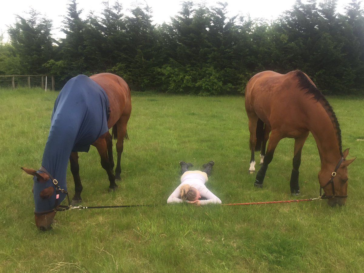ProudEventing's tweet photo. Not sure who did all the hard work!! #HHchamps @Horseware @horseandhound @EquoEvents #Schmaul #LeonadoC https://t.co/KWsmk6B4CZ