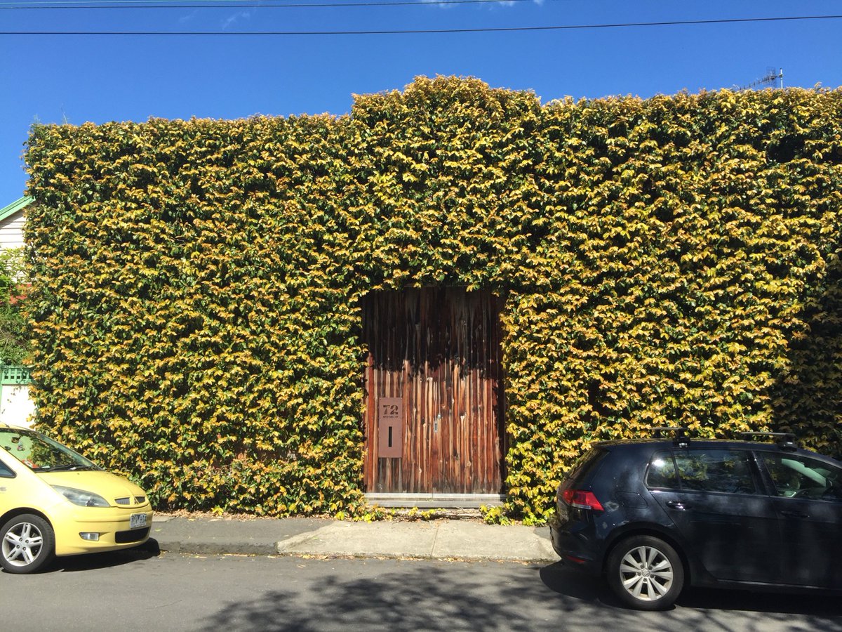 megnatica's tweet image. Melbourne shows how weaving plants into the fabric of the urban form can make our cities more beautiful + liveable. #citiesandplants #melbs