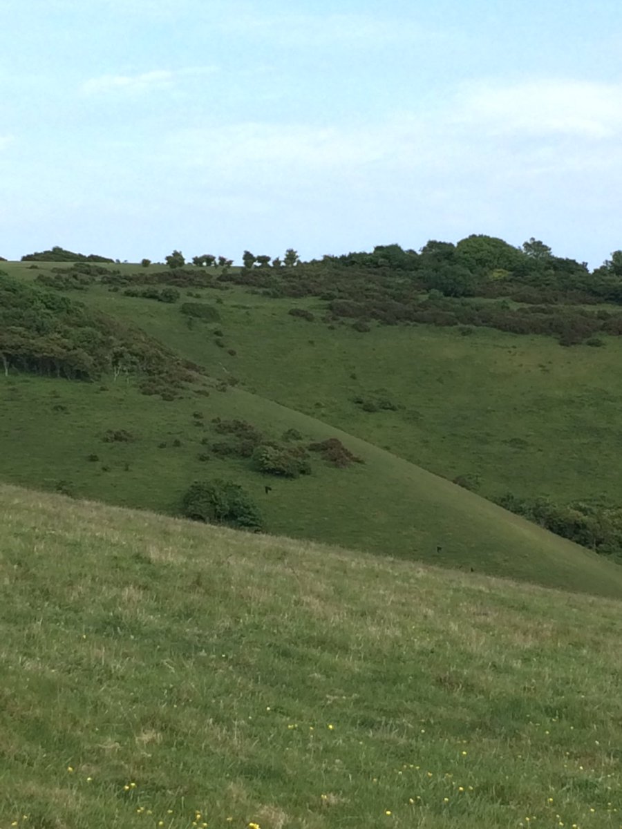 nnm_2015's tweet photo. gorgeous evening for a hilly walk & reward #zeronutritionalvalue #delish https://t.co/QWxieLKNsP