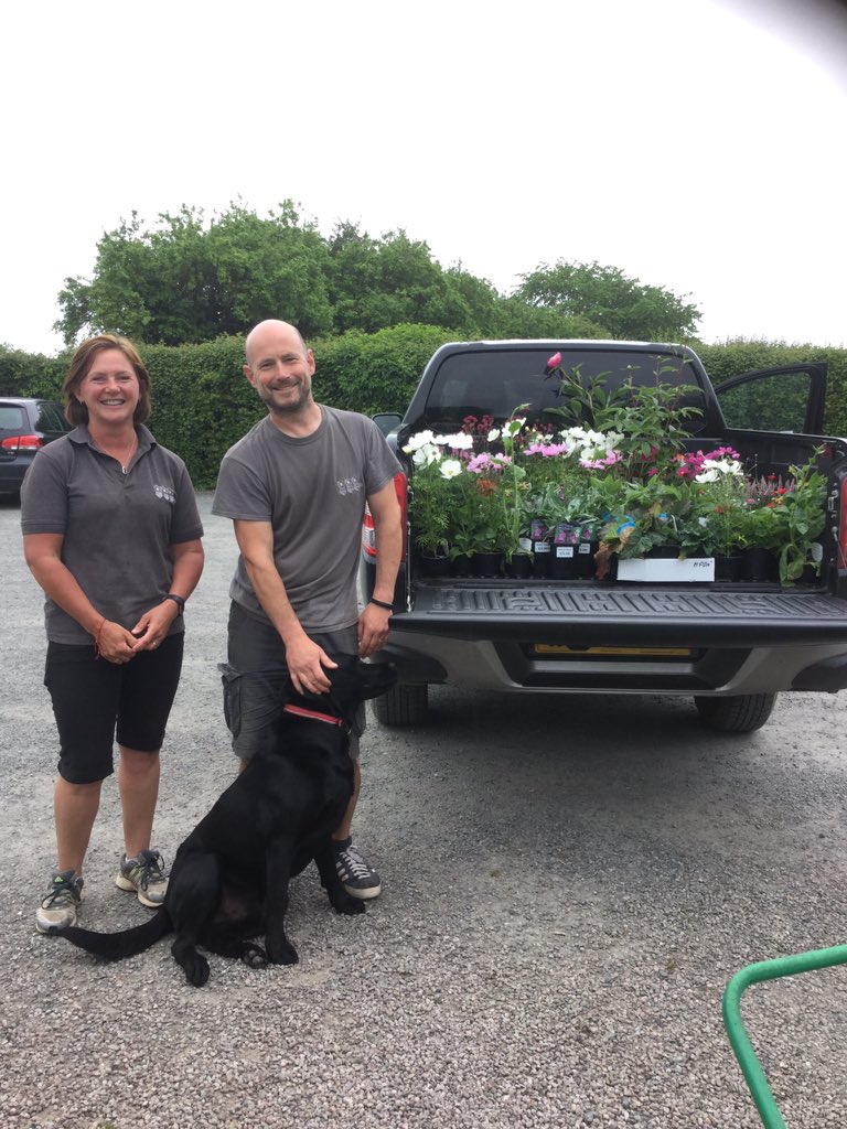 Been round to <a href="/madleyplants/">Madley Plants</a> :) #flowery #loveit