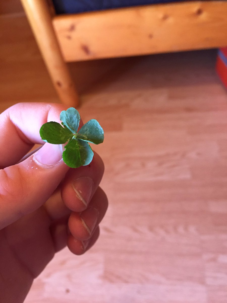 YoungSeaSalt's tweet photo. @Jack_Septic_Eye am I lucky yet! https://t.co/ET04S6RIAJ