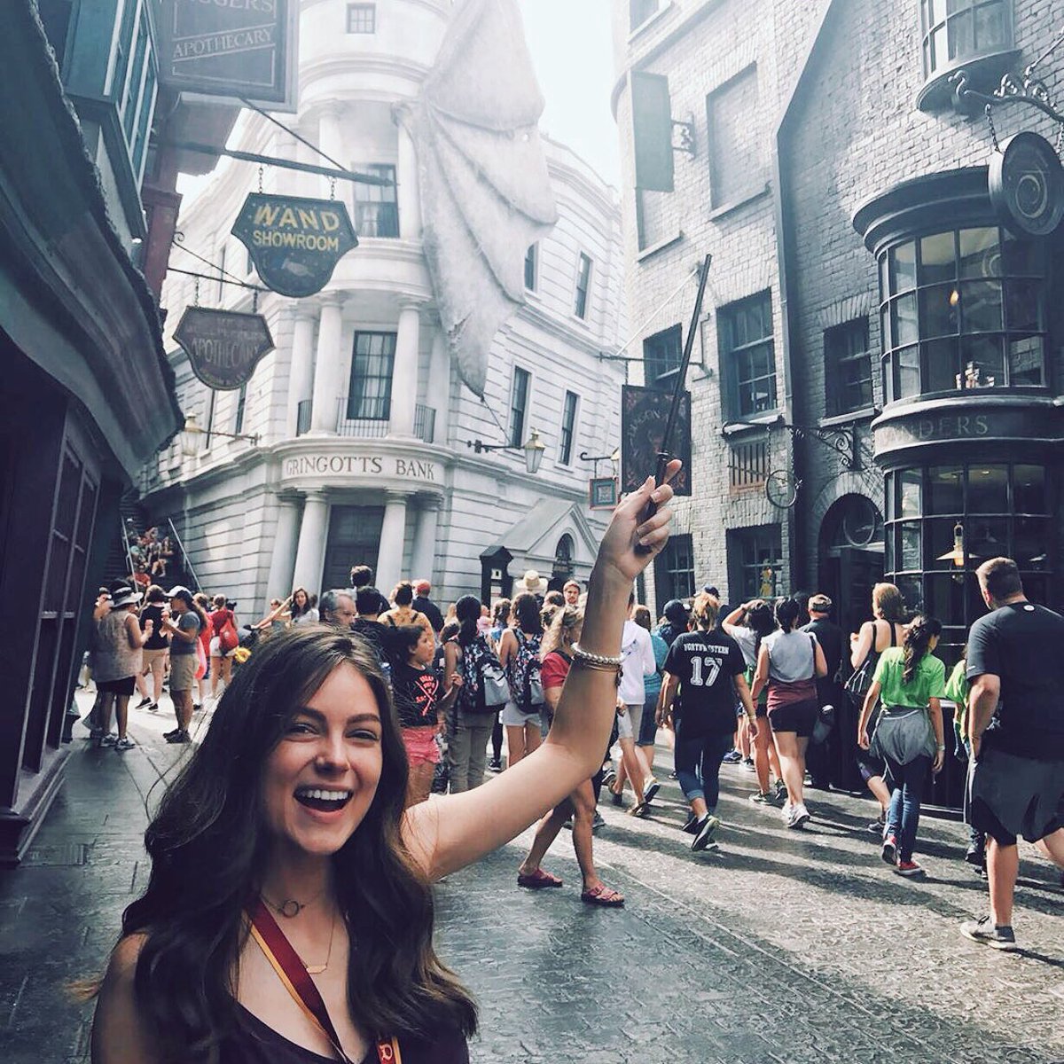 UTK Zeta Tau Alpha tweet media