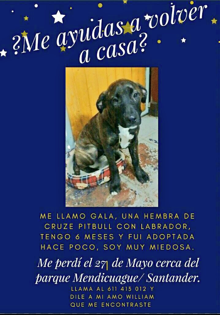 andreitaefe's tweet photo. https://t.co/4JthTXoJo0