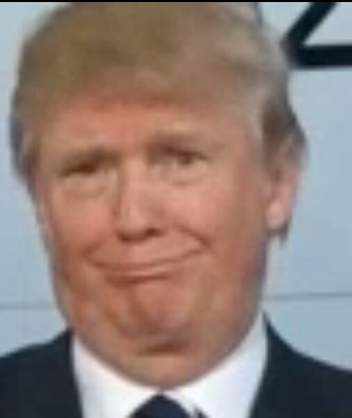 DonTigerNoFakee's tweet photo. https://t.co/03mNaWtLz6