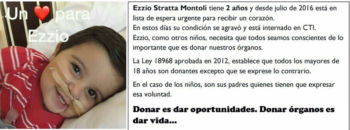 Natu0177's tweet photo. @diegodelacurva me ayudas compartiendo? Ezzio necesita urgente 1 ❤️ y tenemos + posibilidades de encontrar 1 cuanto + gente conozca el caso https://t.co/nbQh7xNevE