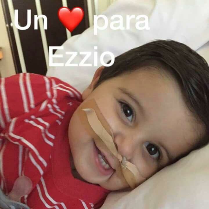 Natu0177's tweet photo. @diegodelacurva me ayudas compartiendo? Ezzio necesita urgente 1 ❤️ y tenemos + posibilidades de encontrar 1 cuanto + gente conozca el caso https://t.co/nbQh7xNevE