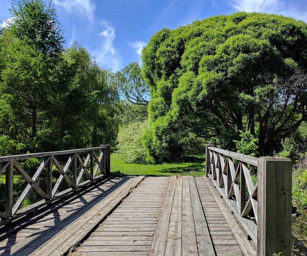 johnfaucher's tweet photo. Tree over the bridge https://t.co/txVJm2vQeO https://t.co/PaSPBQf4QR