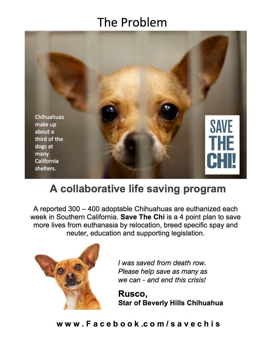 LA4Animals's tweet photo. https://t.co/KsGMacrg7y