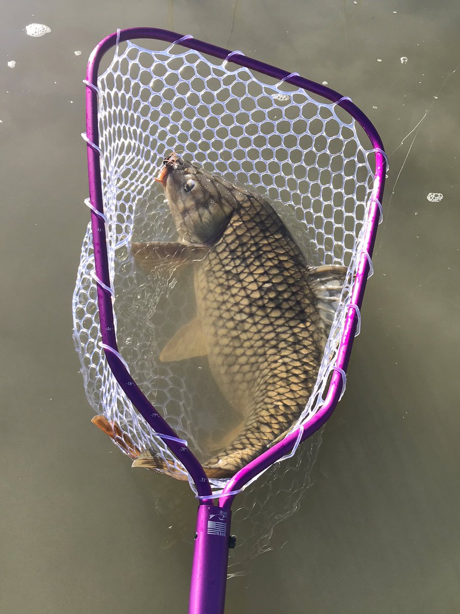 notonlytrout's tweet photo. Here are some of my thoughts about the Rising Lunker Net.  

https://t.co/jtolQOwR1X https://t.co/5GNELlz3UD
