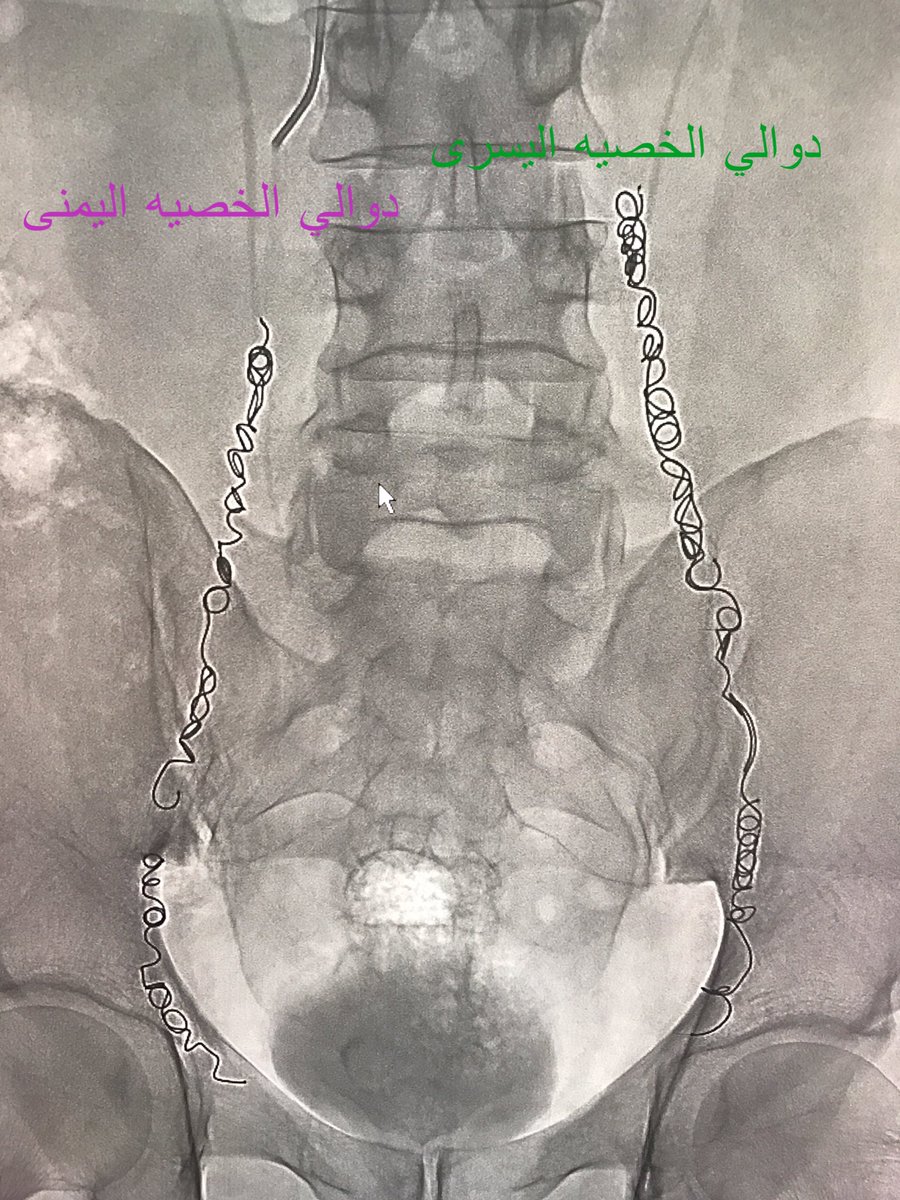 טוויטר \ د.محمد المعيقل בטוויטר: 