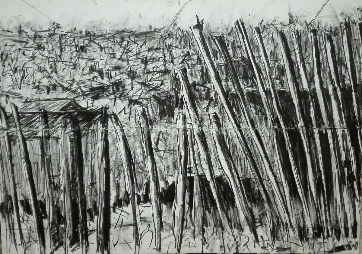 Divided and ruled, Charcoal on paper, 140x200cm, 2017.
#Art #asandakupaart #Asandakupa #blackandwhite #drawing,  #Artistsroadtrip #Knysna