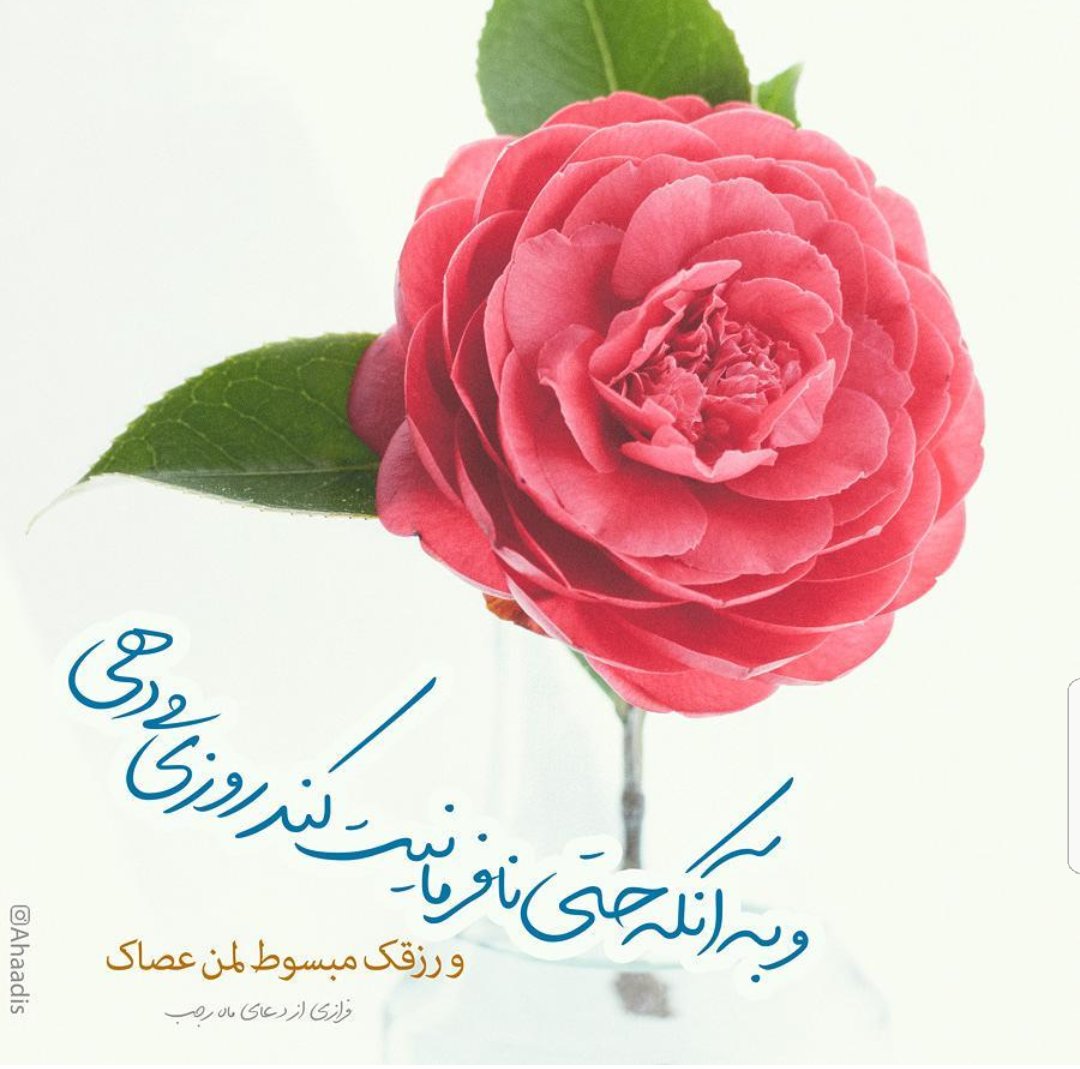 nimavary's tweet image. 