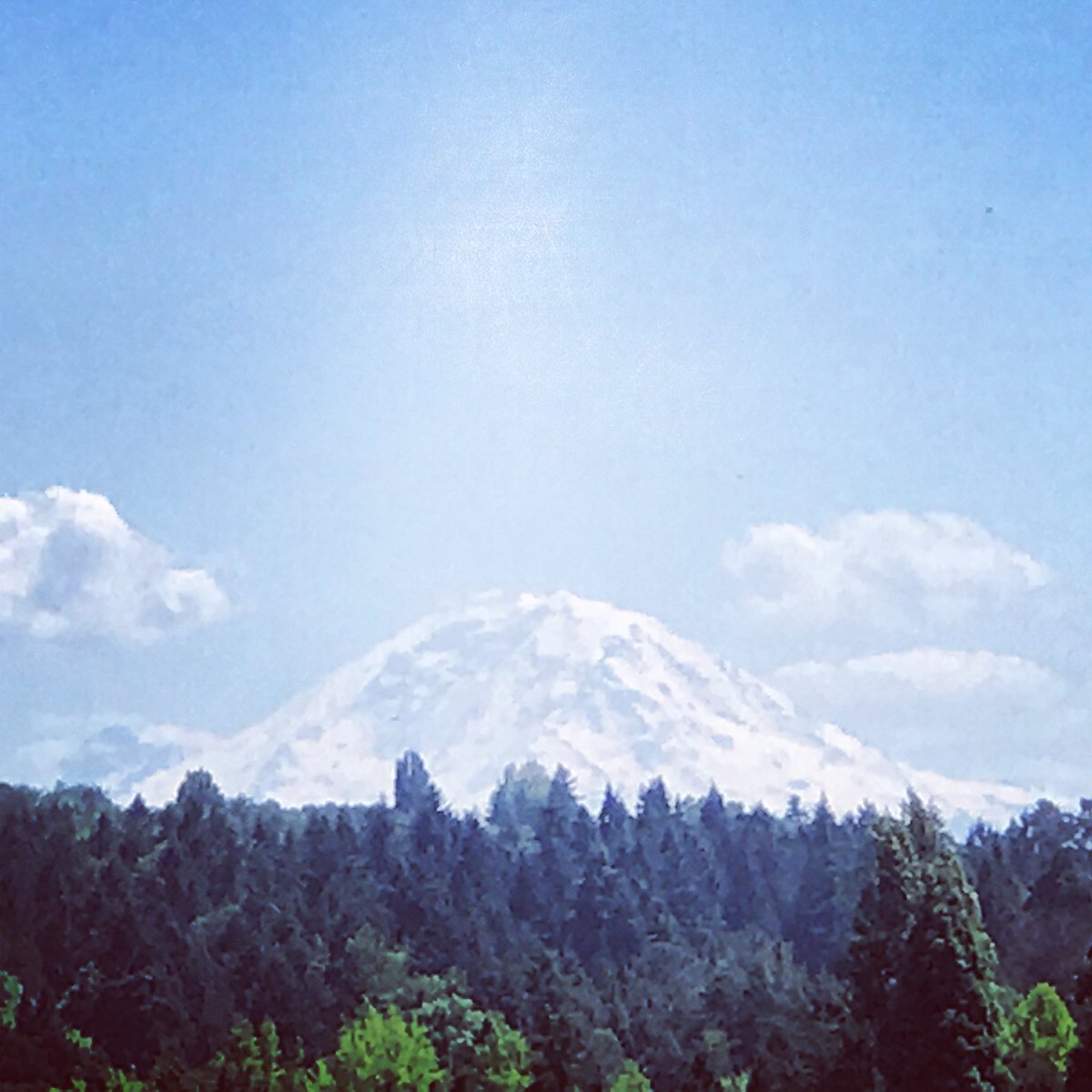 MtRainierWatch's tweet photo. Great shot taken by loyal #RWSF (RainierWatchSuperFan) @meg_thomas near @UW ! 😍

Mountain is out on a beautiful day! 👍❤🏔 https://t.co/8udCANA958