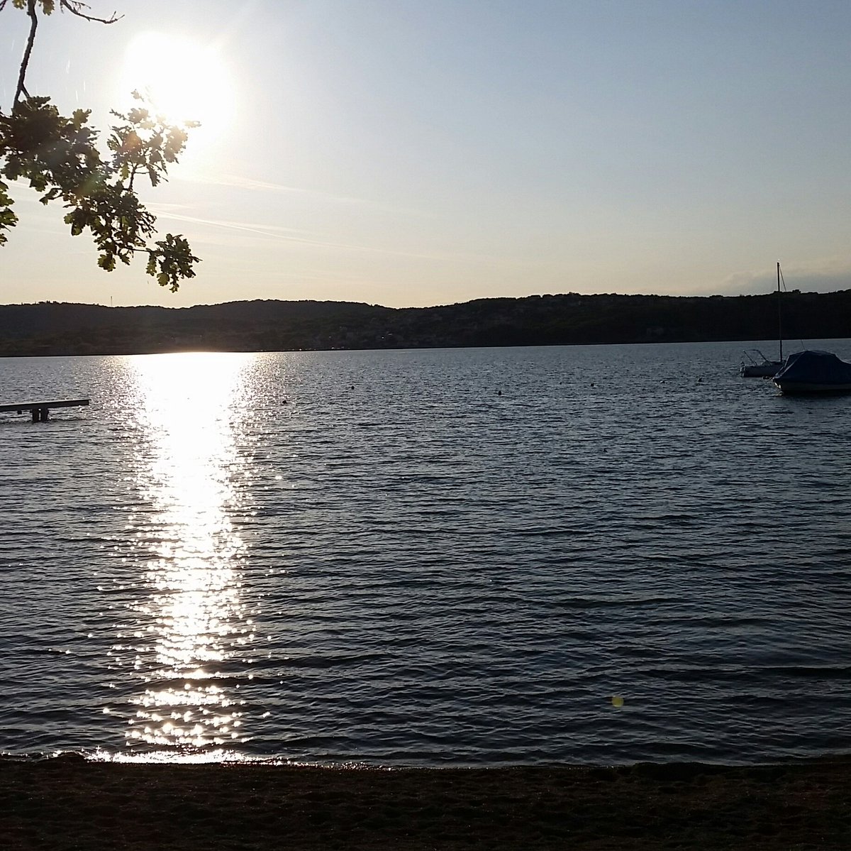 comaglp's tweet image. #NeuesProfilfoto