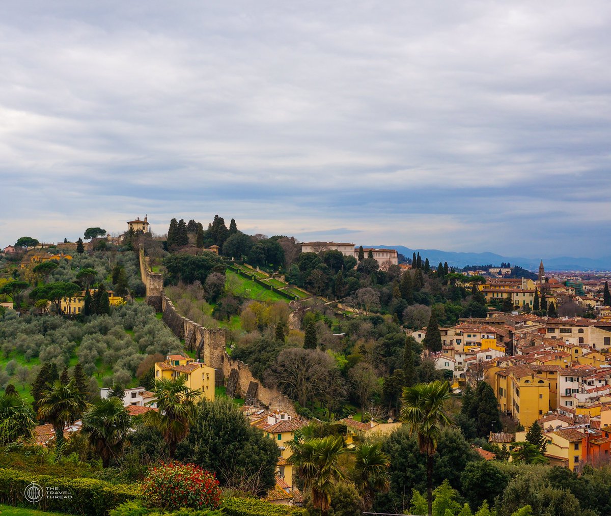 The Travel Thread tweet media