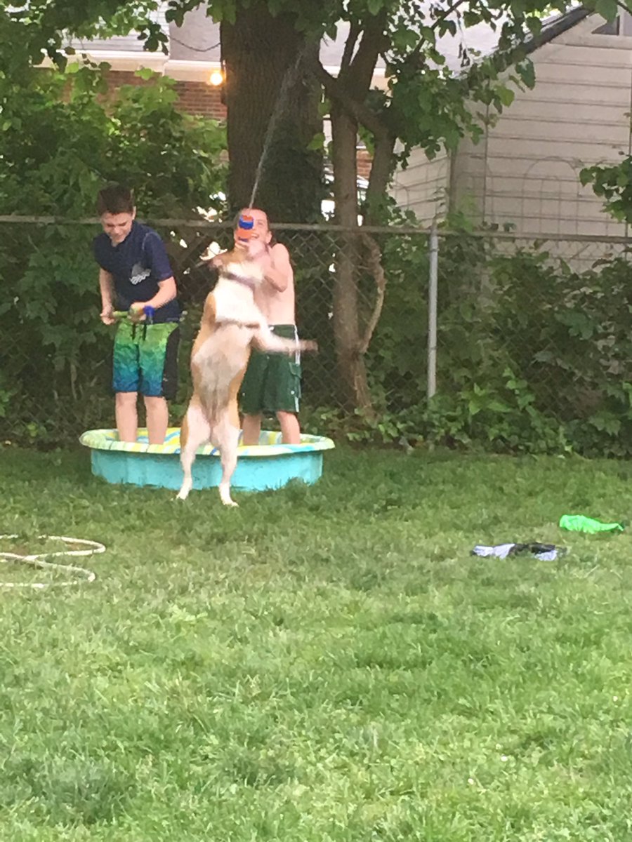 Brad Campbell tweet media