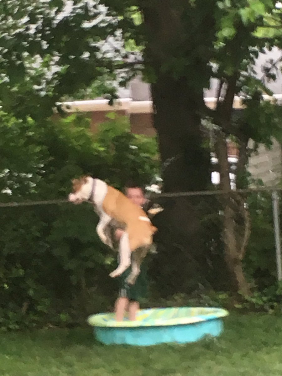 Brad Campbell tweet media