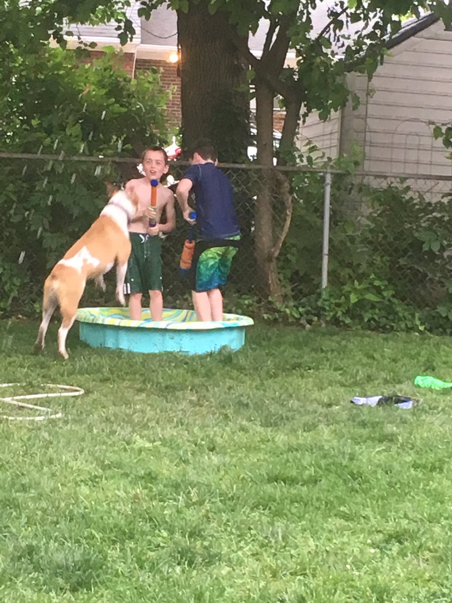 Brad Campbell tweet media