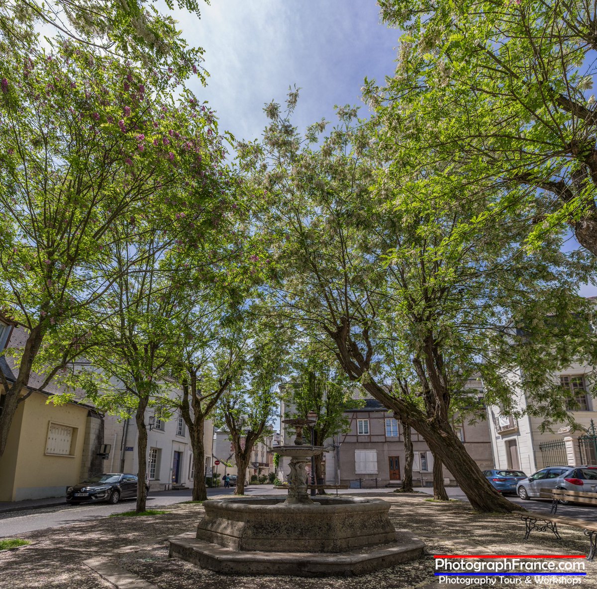 Photograph France tweet media