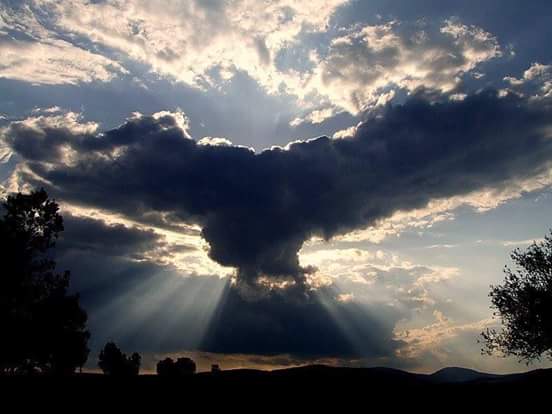 Ne yaparsan yap, Göklerden gelen bi karar vardır...
#SampiyonStadyumda 🏆🏆🏆