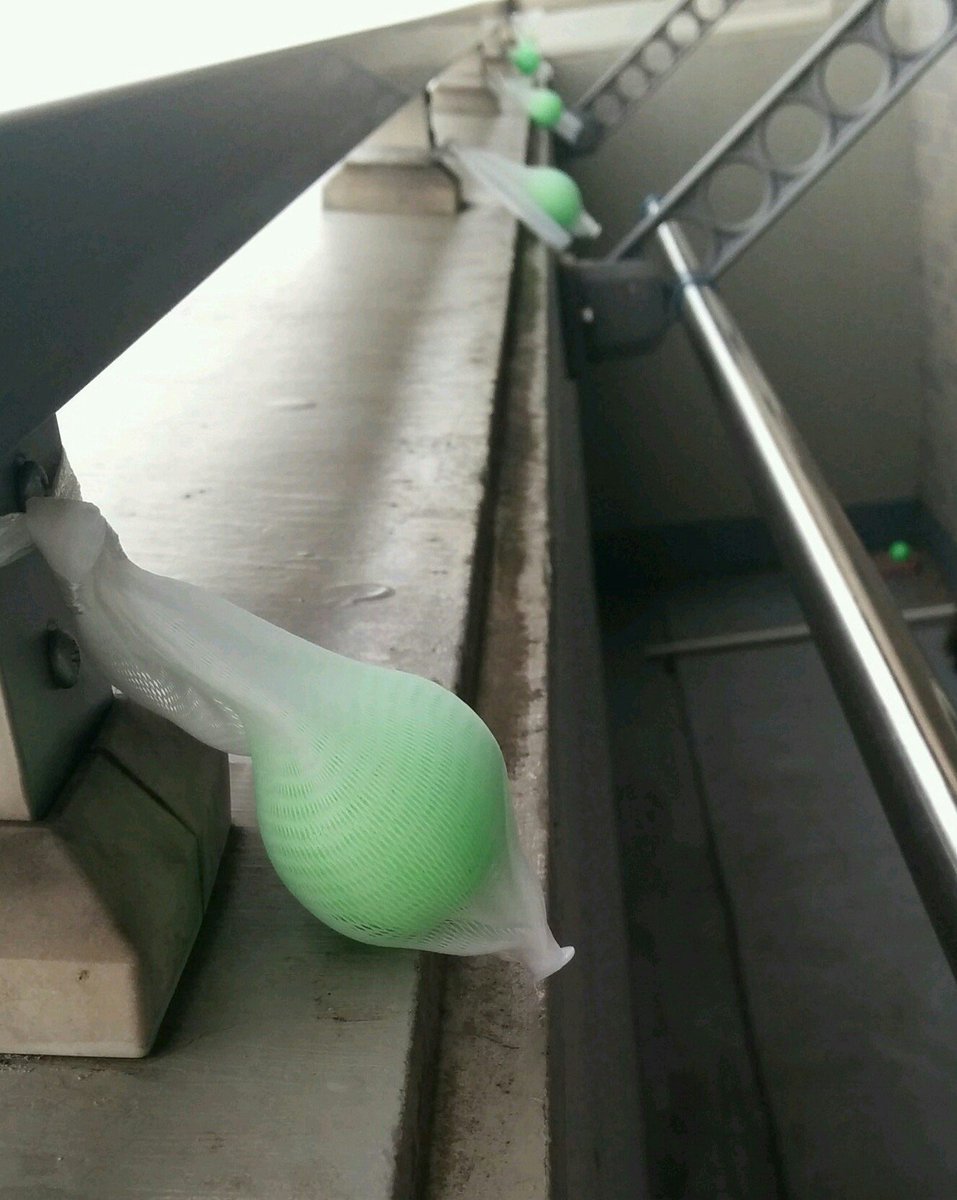 Hashtag 鳩対策 Auf Twitter Hashtag 鳩対策 Auf Twitter