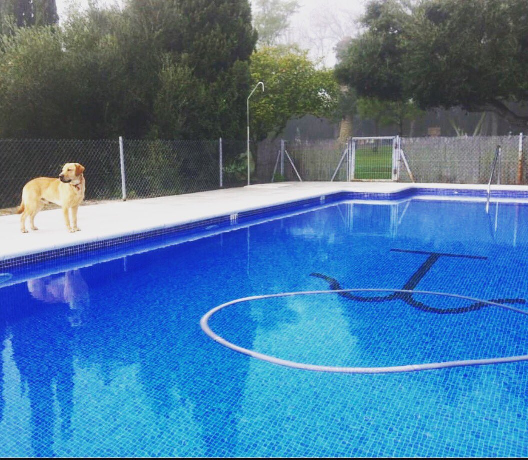 Reserva tus vacaciones en La Mariscala, #CasaRural #Jerez #Cadiz #Andalucia #Playa cortijolamariscala.com