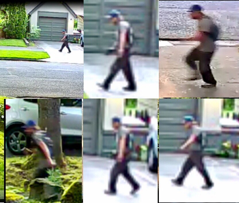 PortlandPolice's tweet image. Neighborhood #Alert: This is the suspect that tactical officers are looking for in the Laurelhurst neighborhood.