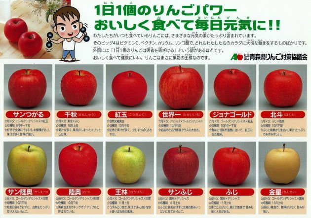 青森県民は小学生になるとりんごの品種下敷きを配られる英才教育が行われてるらしい Togetter
