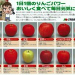 青森県民が持っているりんごの品種が見分けられる下敷きが面白い!