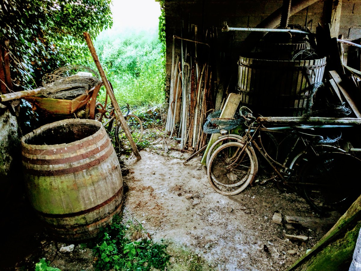 nyludo's tweet image. Weekend à la campagne 😉