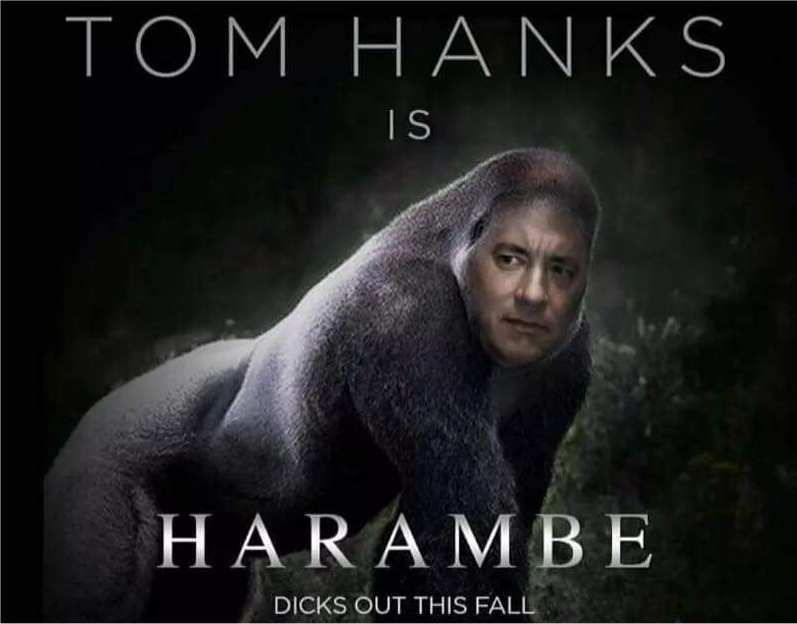 realLessThanTwo's tweet photo. One year later and the dicks are still out.
#HarambeForever https://t.co/334R0f025r