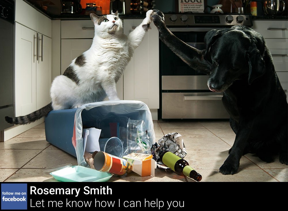 Rosemary Smith tweet media