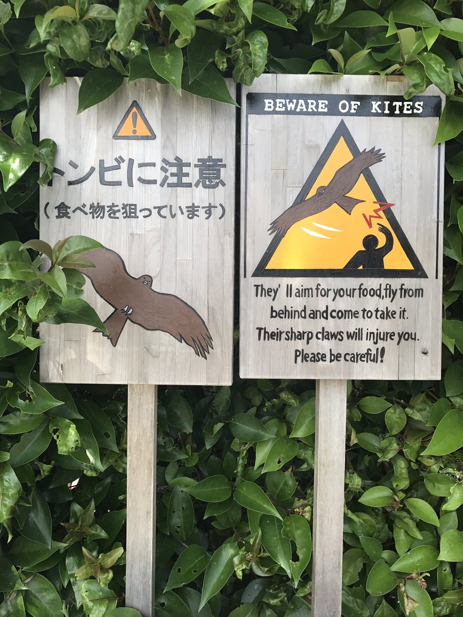 pina_me's tweet photo. Was auf Sylt die Möwen, sind in Kamakura die Kites. 🍦🦅🇯🇵 #Japancalling https://t.co/hWsIijqBeG