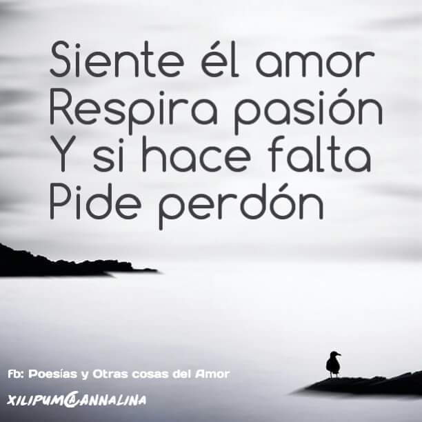 Volunteermap1's tweet photo. #FelizLunes #voluntarios! 
Nuestro corazón sigue moviendo el mundo gracias a vosotros, ánimo, mucho por hacer
volunteermap@volunteermap.org https://t.co/iEFrzonvak