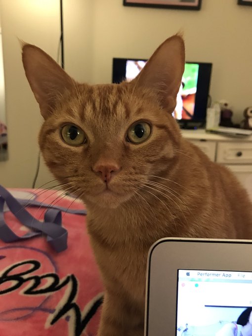 GwenSanders02’s pics and videos