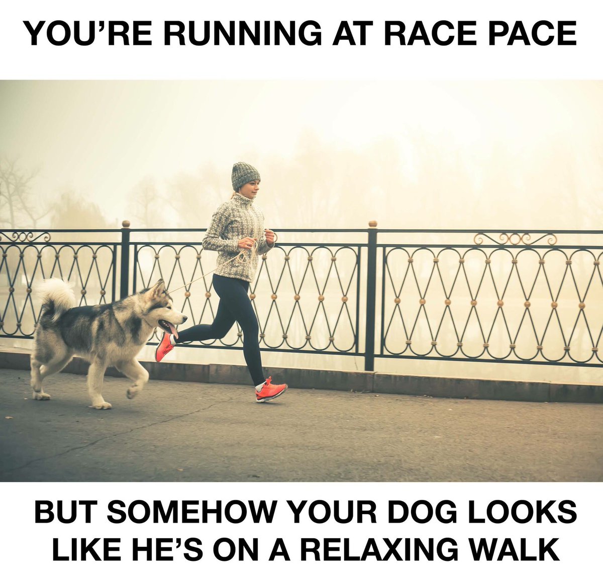 twentysixtwocom's tweet photo. Just keep running during this Memorial Day Weekend 26.2ers. #MemorialDay #earthathon #runchat #marathontweets #twentysixtwo #runhappy #run https://t.co/2pMGXmT7fS