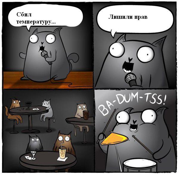 xayahmoon's tweet photo. Я просто ору https://t.co/G1sCSDZH1i