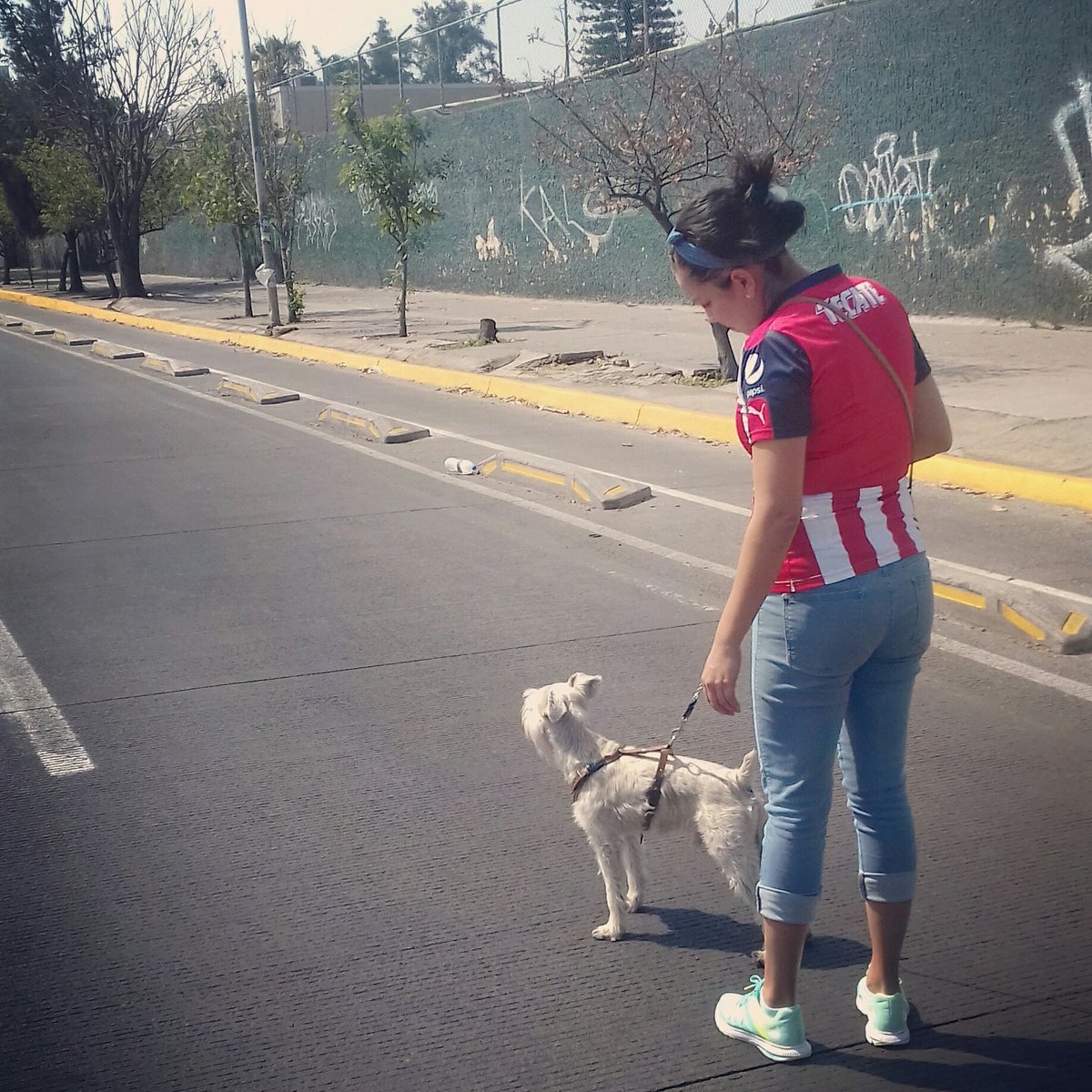 16Mayrim's tweet photo. #NuevaFotoDePerfil https://t.co/uAZsa0Deju