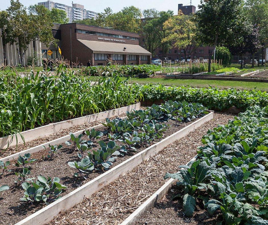 MesaSostenible's tweet image. #Permaculture is the practice of designing #sustainable human habitats by following nature’s patterns &amp;amp; respecting nature’s limits. #GOGREEN