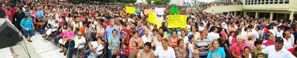 CarlosVasconcelosOf tweet media