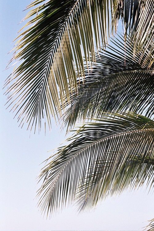 picsaestheticc's tweet photo. https://t.co/C1sIsM9PH2